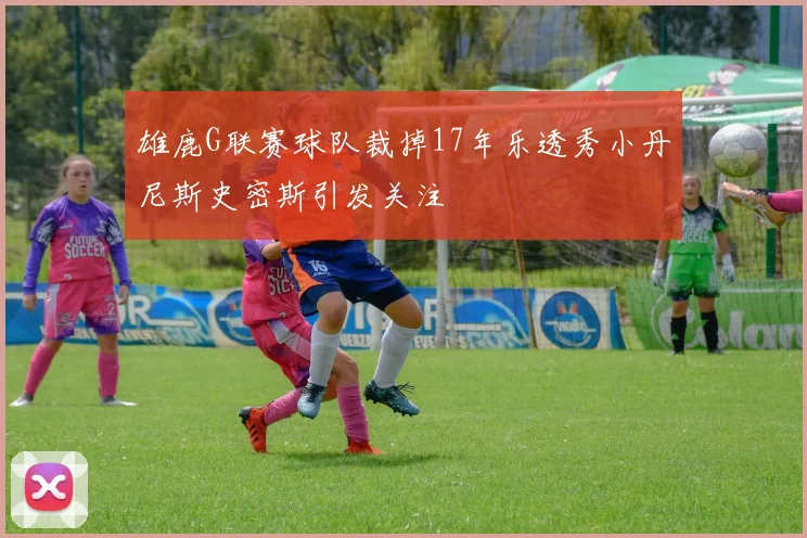 雄鹿G联赛球队裁掉17年乐透秀小丹尼斯史密斯引发关注