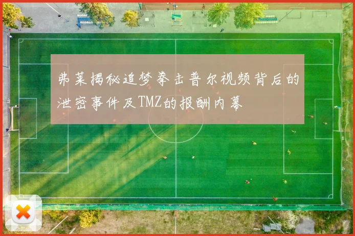 弗莱揭秘追梦拳击普尔视频背后的泄密事件及TMZ的报酬内幕