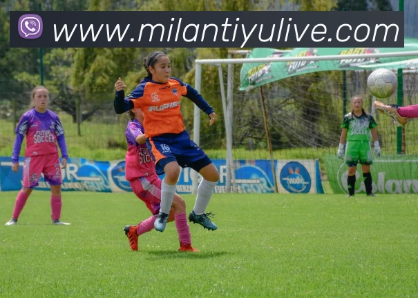 米兰体育平台生态图