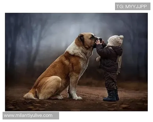 可爱泽卡分享孩子咧嘴笑照引发网友热议温馨瞬间感动无数人